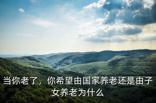 當你老了，你希望由國家養(yǎng)老還是由子女養(yǎng)老為什么
