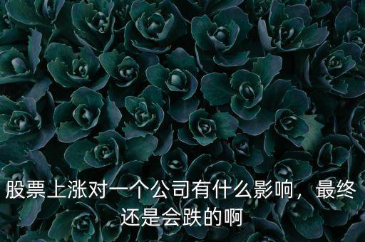 股票上漲對一個公司有什么影響，最終還是會跌的啊
