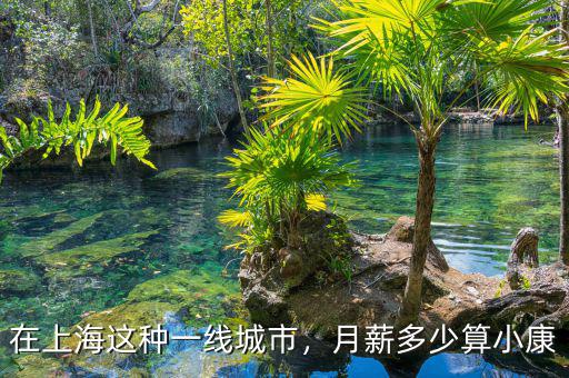 在上海這種一線(xiàn)城市，月薪多少算小康