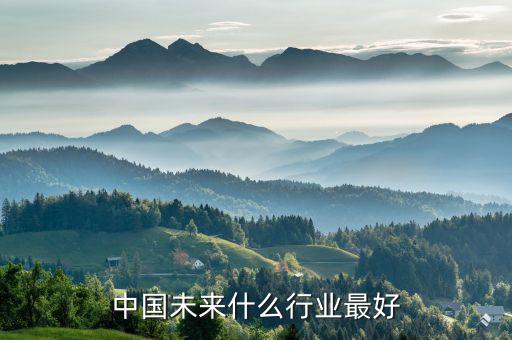 中國(guó)未來經(jīng)濟(jì)做什么行業(yè)好,中國(guó)未來什么行業(yè)最好