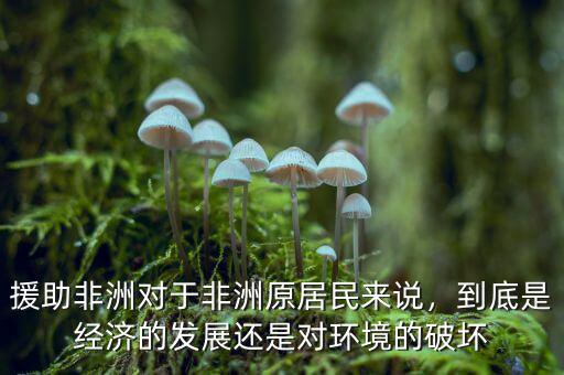 援助非洲對于非洲原居民來說，到底是經(jīng)濟(jì)的發(fā)展還是對環(huán)境的破壞