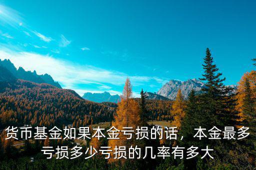 貨幣基金如果本金虧損的話，本金最多虧損多少虧損的幾率有多大