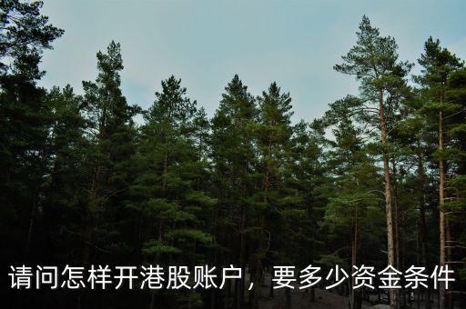 港股賬戶(hù)怎么開(kāi),港股怎么開(kāi)戶(hù)開(kāi)戶(hù)有哪些條件
