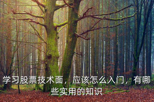 學習股票技術面，應該怎么入門，有哪些實用的知識