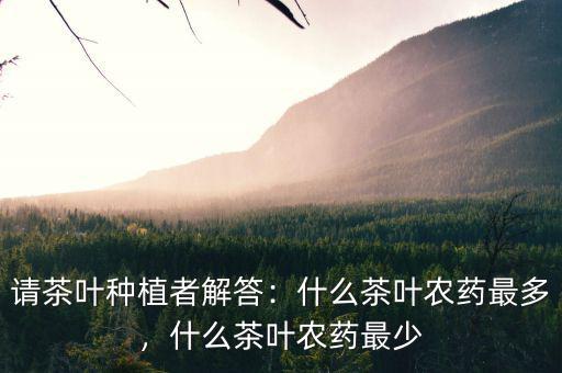 請茶葉種植者解答：什么茶葉農(nóng)藥最多，什么茶葉農(nóng)藥最少