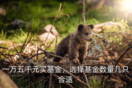 一萬五千元買基金，選擇基金數量幾只合適