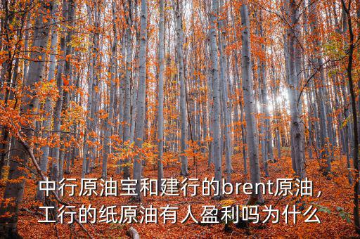 中行原油寶和建行的brent原油，工行的紙原油有人盈利嗎為什么
