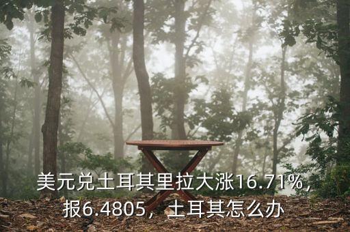 美元兌土耳其里拉大漲16.71%，報6.4805，土耳其怎么辦