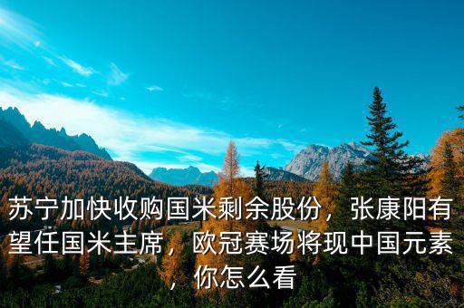 蘇寧為什么收購國(guó)米,蘇寧加快收購國(guó)米剩余股份