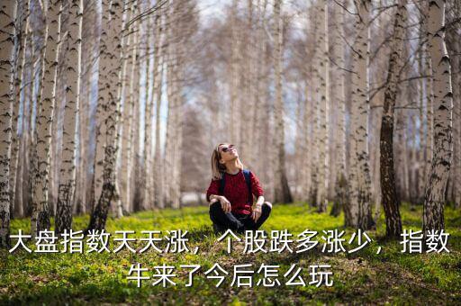 大盤指數(shù)天天漲，個股跌多漲少，指數(shù)牛來了今后怎么玩