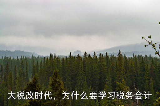 大稅改時(shí)代，為什么要學(xué)習(xí)稅務(wù)會(huì)計(jì)