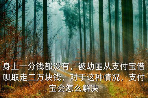 身上一分錢都沒有，被劫匪從支付寶借唄取走三萬塊錢，對于這種情況，支付寶會怎么解決