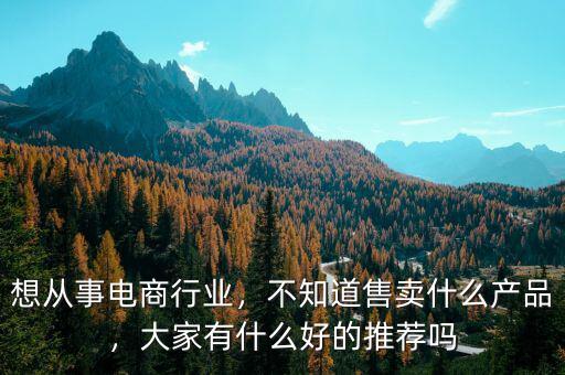 想從事電商行業(yè)，不知道售賣什么產(chǎn)品，大家有什么好的推薦嗎