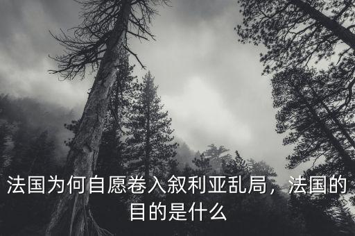 法國為何自愿卷入敘利亞亂局，法國的目的是什么