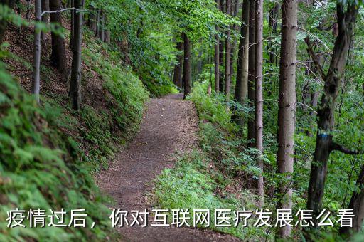 疫情過(guò)后，你對(duì)互聯(lián)網(wǎng)醫(yī)療發(fā)展怎么看
