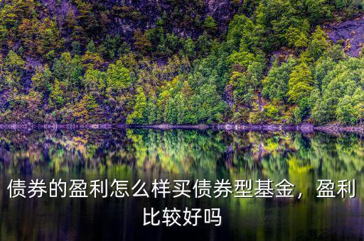 債券的盈利怎么樣買債券型基金，盈利比較好嗎