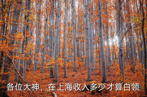 各位大神，在上海收入多少才算白領