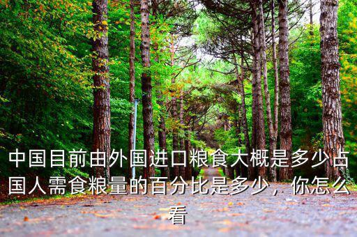 中國(guó)目前由外國(guó)進(jìn)口糧食大概是多少占國(guó)人需食糧量的百分比是多少，你怎么看