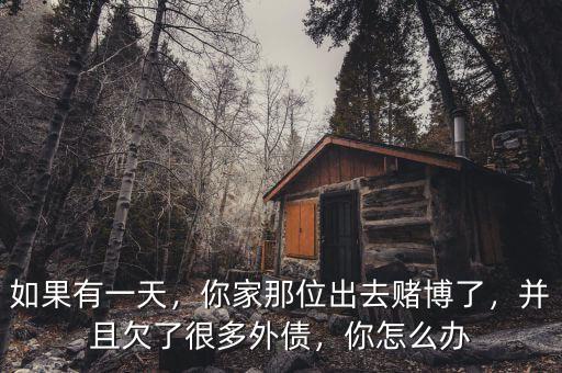 如果有一天，你家那位出去賭博了，并且欠了很多外債，你怎么辦