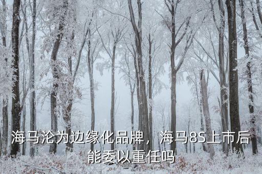 海馬淪為邊緣化品牌，海馬8S上市后能委以重任嗎