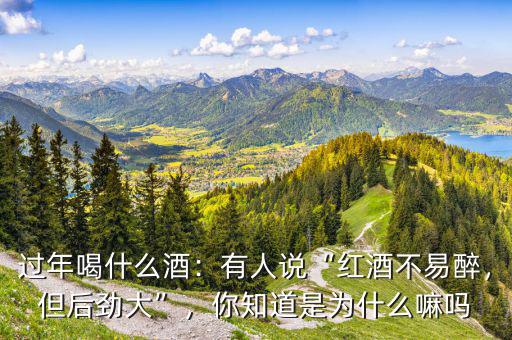 過年喝什么酒：有人說“紅酒不易醉，但后勁大”，你知道是為什么嘛嗎