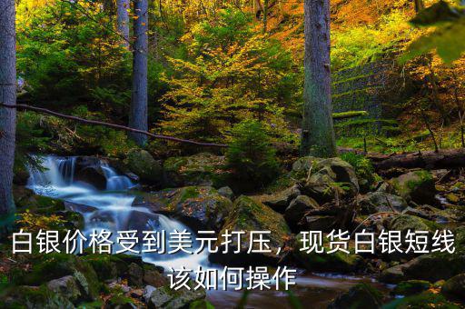 白銀價(jià)格受到美元打壓，現(xiàn)貨白銀短線該如何操作