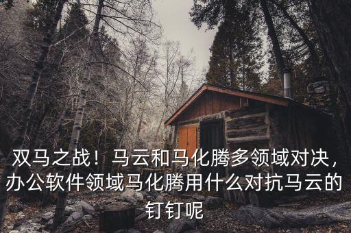 雙馬之戰(zhàn)！馬云和馬化騰多領(lǐng)域?qū)Q，辦公軟件領(lǐng)域馬化騰用什么對抗馬云的釘釘呢