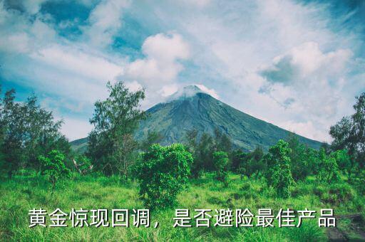黃金驚現(xiàn)回調(diào)，是否避險(xiǎn)最佳產(chǎn)品
