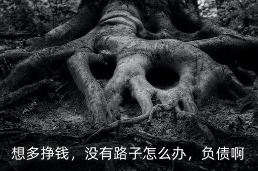 想多掙錢，沒有路子怎么辦，負債啊