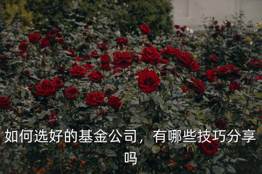 如何選好的基金公司，有哪些技巧分享嗎