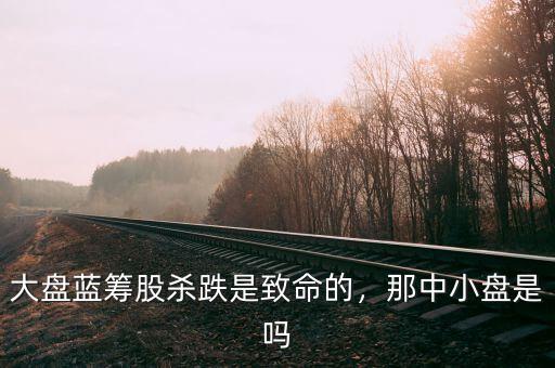 大盤藍(lán)籌股殺跌是致命的，那中小盤是嗎