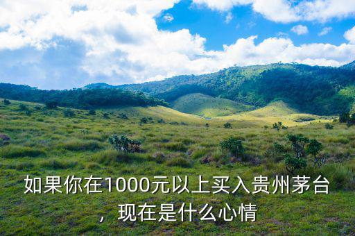 如果你在1000元以上買入貴州茅臺(tái)，現(xiàn)在是什么心情