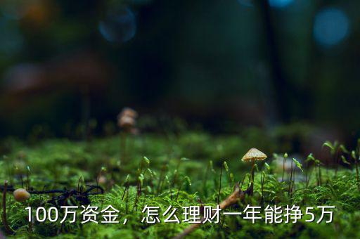 100萬資金，怎么理財(cái)一年能掙5萬