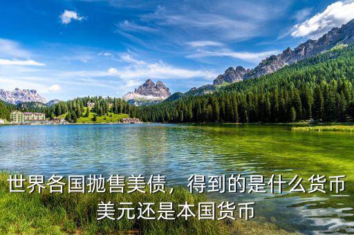 世界各國拋售美債，得到的是什么貨幣美元還是本國貨幣