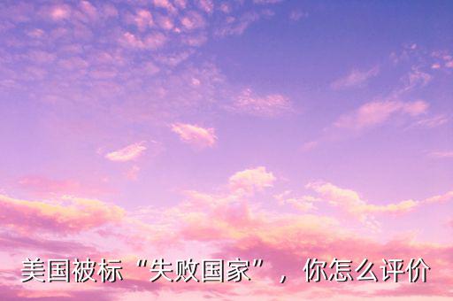美國被標(biāo)“失敗國家”，你怎么評價