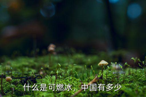 什么是可燃冰，中國有多少