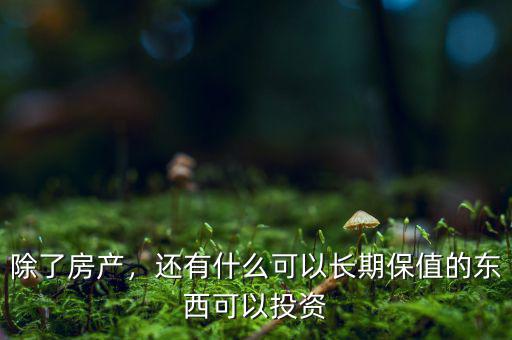 除了房產(chǎn)，還有什么可以長期保值的東西可以投資
