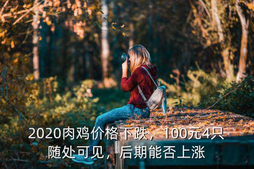 2020肉雞價格下跌，100元4只隨處可見，后期能否上漲