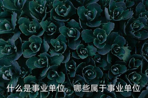 什么是事業(yè)單位，哪些屬于事業(yè)單位
