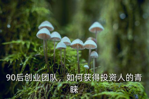 90后創(chuàng)業(yè)團隊，如何獲得投資人的青睞