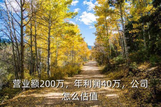 營業(yè)額200萬，年利潤40萬，公司怎么估值