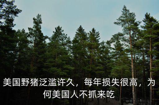 美國野豬泛濫許久，每年損失很高，為何美國人不抓來吃