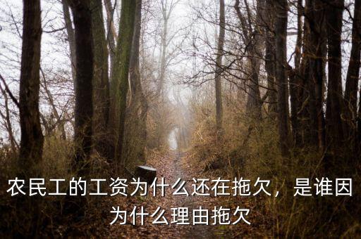 農(nóng)民工的工資為什么還在拖欠，是誰因?yàn)槭裁蠢碛赏锨? class=