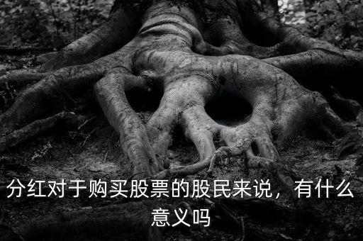 分紅對于購買股票的股民來說，有什么意義嗎