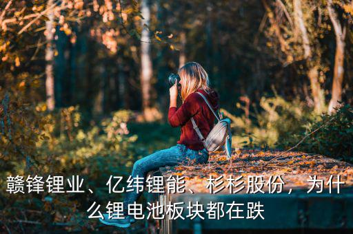 贛鋒鋰業(yè)、億緯鋰能、杉杉股份，為什么鋰電池板塊都在跌