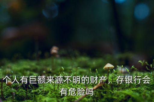個人有巨額來源不明的財產(chǎn)，存銀行會有危險嗎
