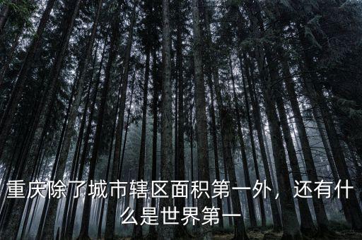 重慶除了城市轄區(qū)面積第一外，還有什么是世界第一
