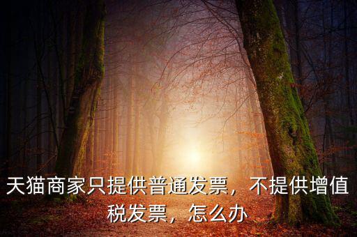 天貓商家只提供普通發(fā)票，不提供增值稅發(fā)票，怎么辦