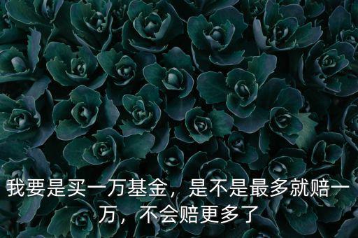 我要是買一萬基金，是不是最多就賠一萬，不會賠更多了