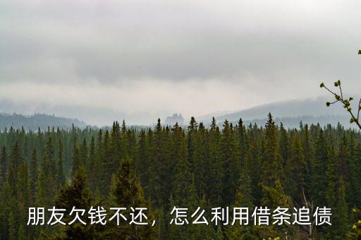朋友欠錢(qián)不還，怎么利用借條追債